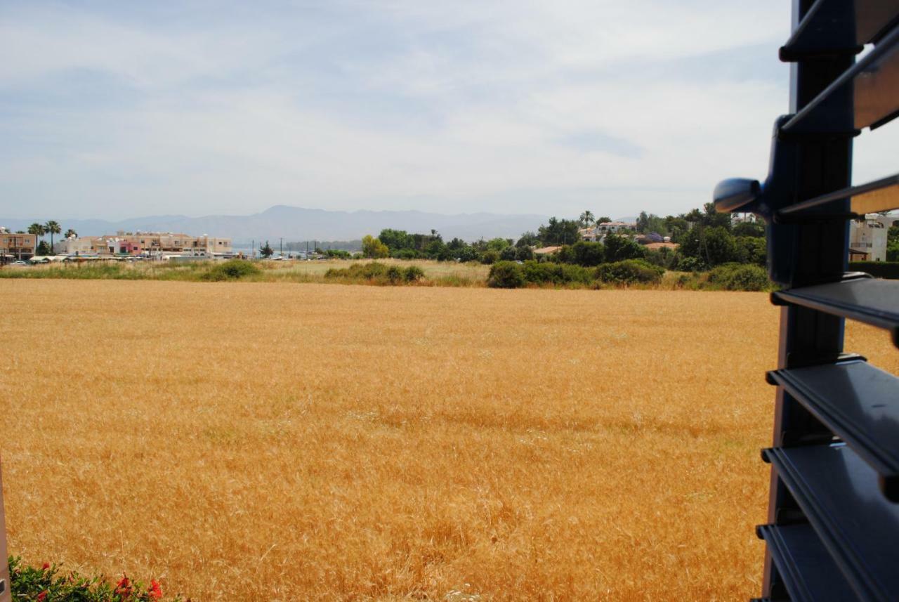 Villa Lachi Polis Eksteriør bilde